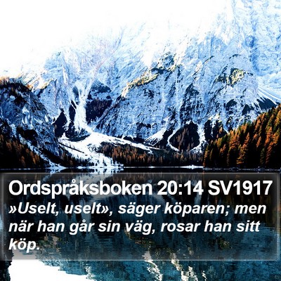 Ordspråksboken 20:14 SV1917 Bible Verse Image