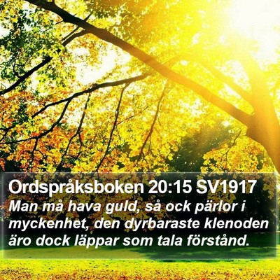 Ordspråksboken 20:15 SV1917 Bible Verse Image