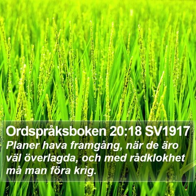 Ordspråksboken 20:18 SV1917 Bible Verse Image