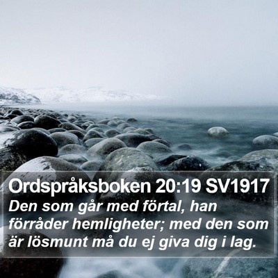 Ordspråksboken 20:19 SV1917 Bible Verse Image