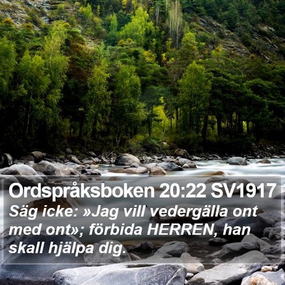 Ordspråksboken 20:22 SV1917 Bible Verse Image