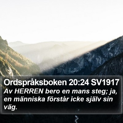 Ordspråksboken 20:24 SV1917 Bible Verse Image