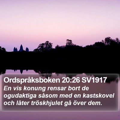 Ordspråksboken 20:26 SV1917 Bible Verse Image