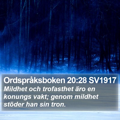 Ordspråksboken 20:28 SV1917 Bible Verse Image