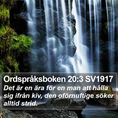 Ordspråksboken 20:3 SV1917 Bible Verse Image