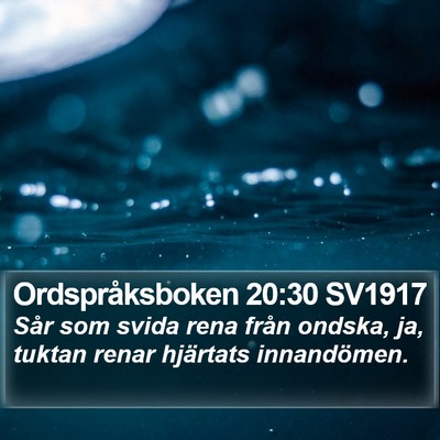 Ordspråksboken 20:30 SV1917 Bible Verse Image