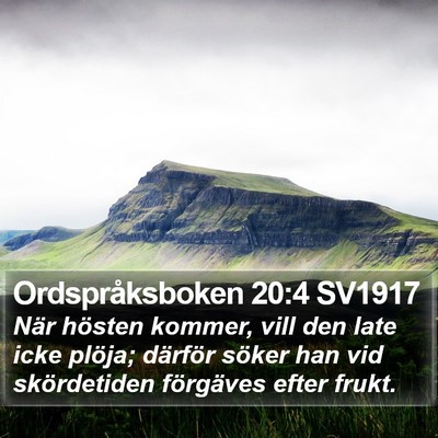 Ordspråksboken 20:4 SV1917 Bible Verse Image