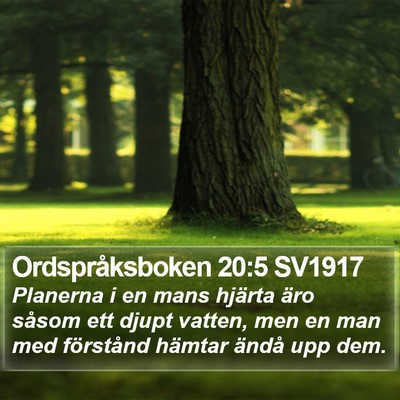 Ordspråksboken 20:5 SV1917 Bible Verse Image