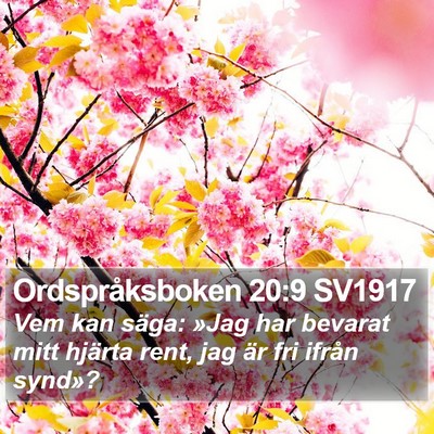 Ordspråksboken 20:9 SV1917 Bible Verse Image