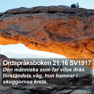 Ordspråksboken 21:16 SV1917 Bible Verse Image