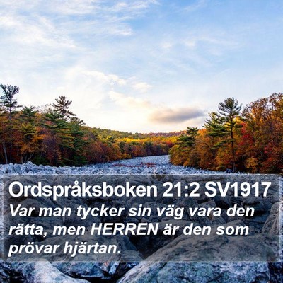 Ordspråksboken 21:2 SV1917 Bible Verse Image