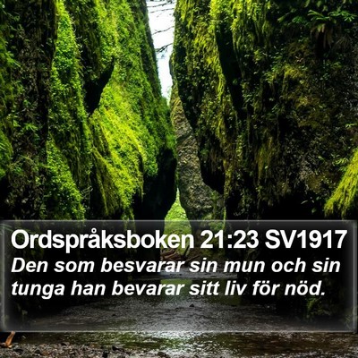 Ordspråksboken 21:23 SV1917 Bible Verse Image