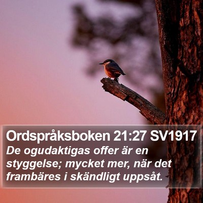 Ordspråksboken 21:27 SV1917 Bible Verse Image