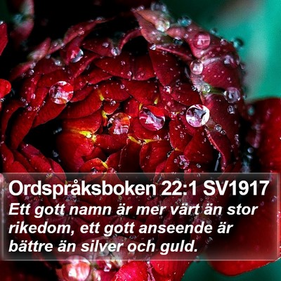 Ordspråksboken 22:1 SV1917 Bible Verse Image