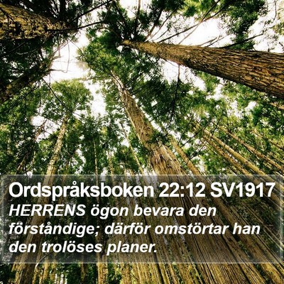 Ordspråksboken 22:12 SV1917 Bible Verse Image