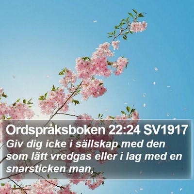 Ordspråksboken 22:24 SV1917 Bible Verse Image