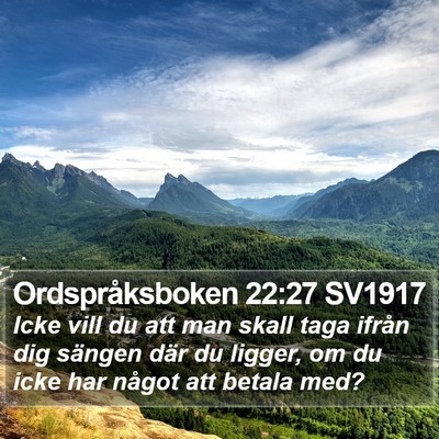 Ordspråksboken 22:27 SV1917 Bible Verse Image