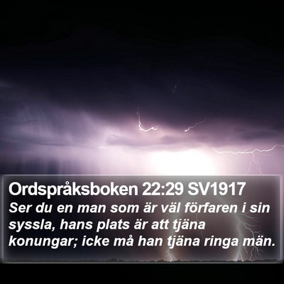 Ordspråksboken 22:29 SV1917 Bible Verse Image
