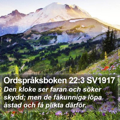Ordspråksboken 22:3 SV1917 Bible Verse Image