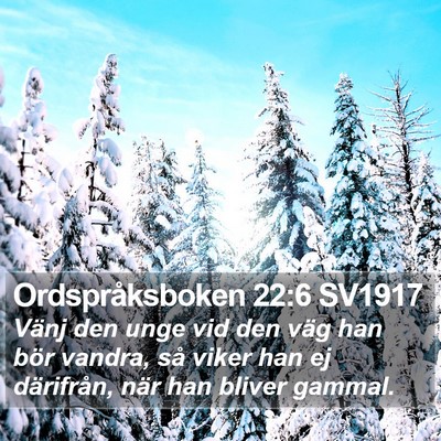 Ordspråksboken 22:6 SV1917 Bible Verse Image