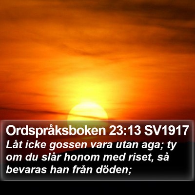 Ordspråksboken 23:13 SV1917 Bible Verse Image