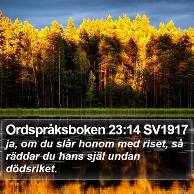 Ordspråksboken 23:14 SV1917 Bible Verse Image