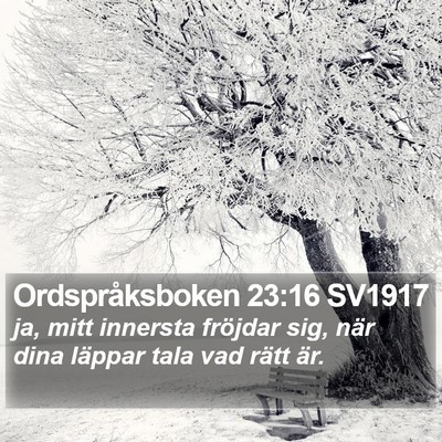 Ordspråksboken 23:16 SV1917 Bible Verse Image