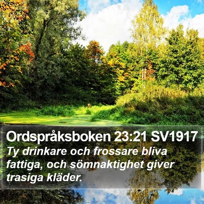 Ordspråksboken 23:21 SV1917 Bible Verse Image