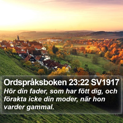 Ordspråksboken 23:22 SV1917 Bible Verse Image