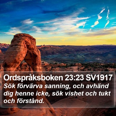 Ordspråksboken 23:23 SV1917 Bible Verse Image