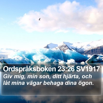 Ordspråksboken 23:26 SV1917 Bible Verse Image