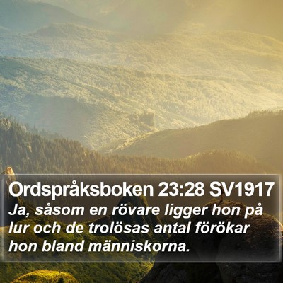 Ordspråksboken 23:28 SV1917 Bible Verse Image