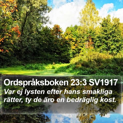 Ordspråksboken 23:3 SV1917 Bible Verse Image