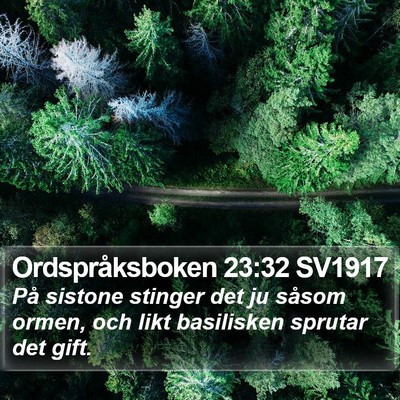 Ordspråksboken 23:32 SV1917 Bible Verse Image