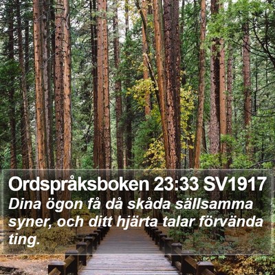 Ordspråksboken 23:33 SV1917 Bible Verse Image