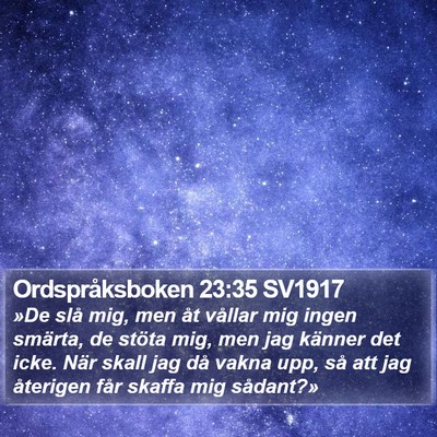 Ordspråksboken 23:35 SV1917 Bible Verse Image