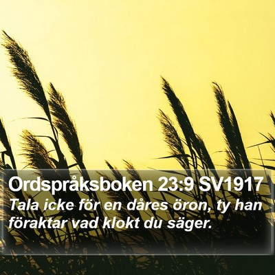 Ordspråksboken 23:9 SV1917 Bible Verse Image