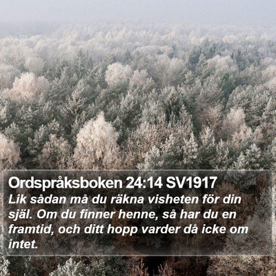 Ordspråksboken 24:14 SV1917 Bible Verse Image