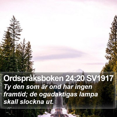 Ordspråksboken 24:20 SV1917 Bible Verse Image