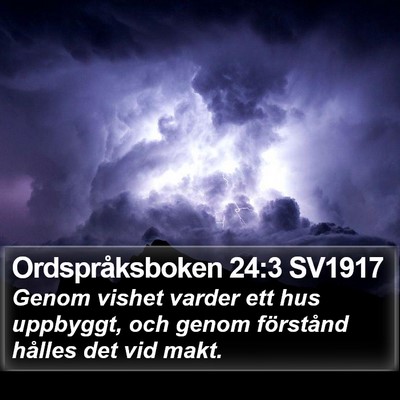 Ordspråksboken 24:3 SV1917 Bible Verse Image