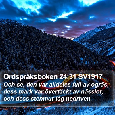 Ordspråksboken 24:31 SV1917 Bible Verse Image
