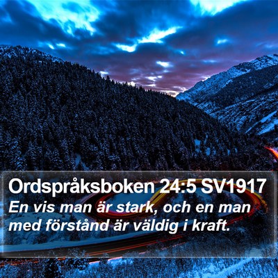Ordspråksboken 24:5 SV1917 Bible Verse Image