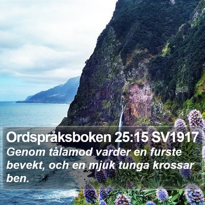 Ordspråksboken 25:15 SV1917 Bible Verse Image