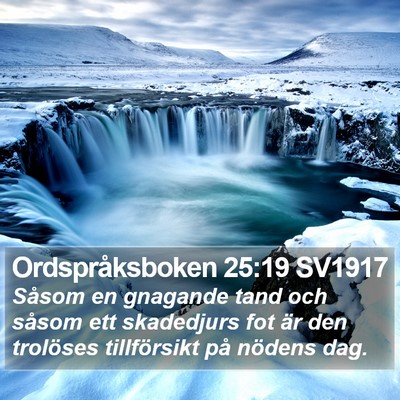 Ordspråksboken 25:19 SV1917 Bible Verse Image