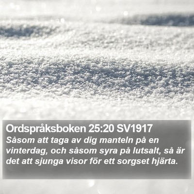 Ordspråksboken 25:20 SV1917 Bible Verse Image