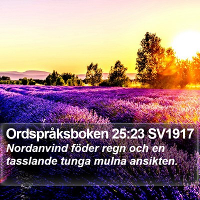 Ordspråksboken 25:23 SV1917 Bible Verse Image