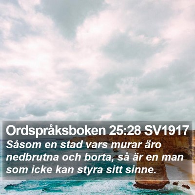Ordspråksboken 25:28 SV1917 Bible Verse Image