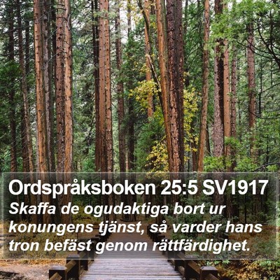 Ordspråksboken 25:5 SV1917 Bible Verse Image