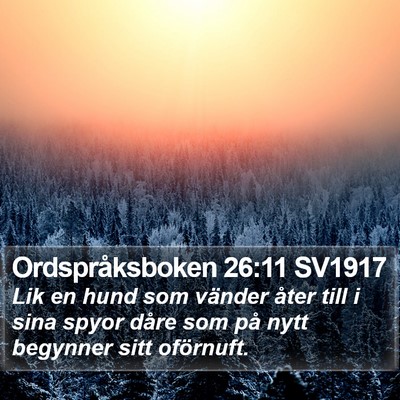 Ordspråksboken 26:11 SV1917 Bible Verse Image