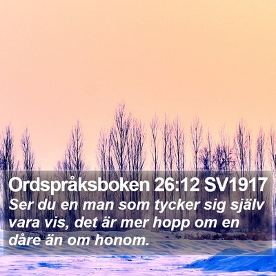 Ordspråksboken 26:12 SV1917 Bible Verse Image
